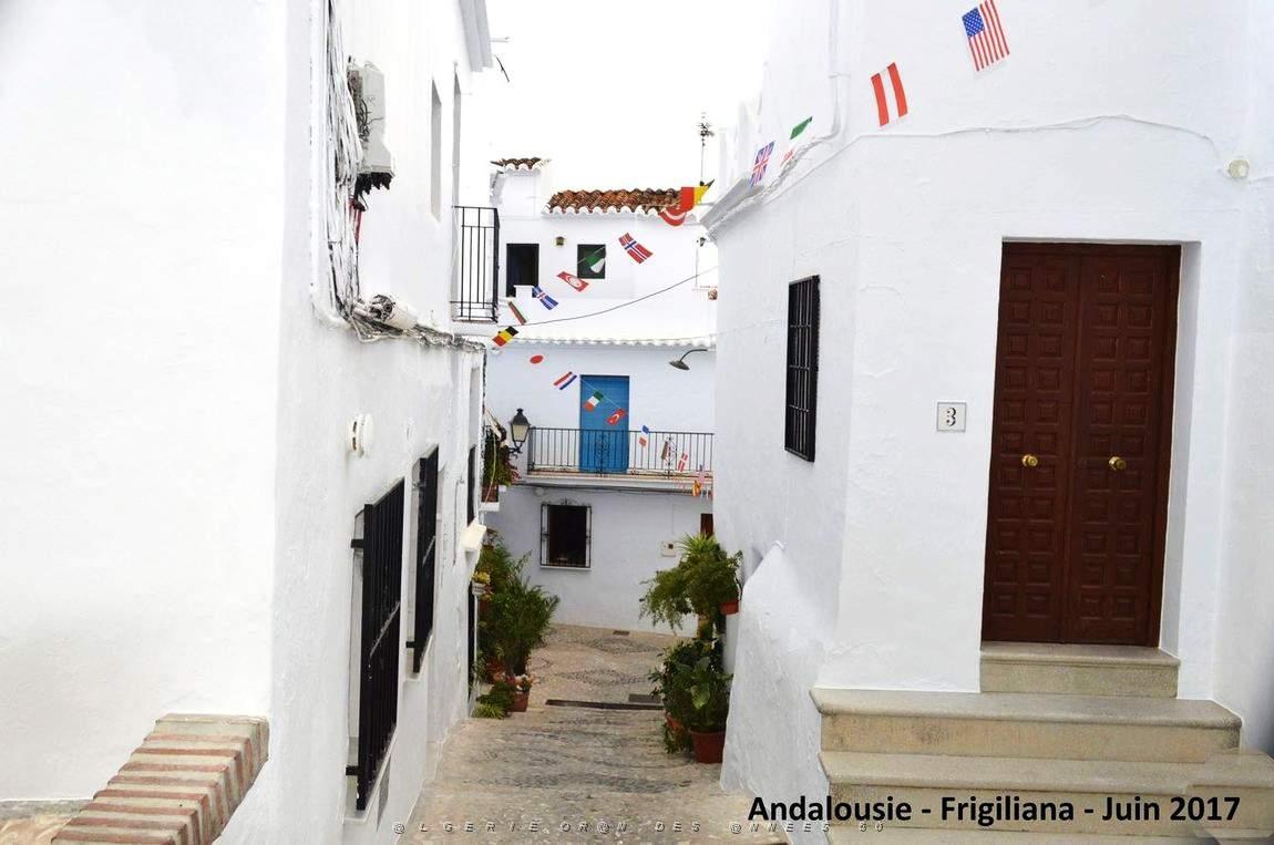 551 - Frigiliana.JPG